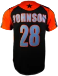 RSBS05REVINTERFUSEBACK1.png