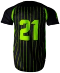 RSBS13BACKPOLYDEX.png