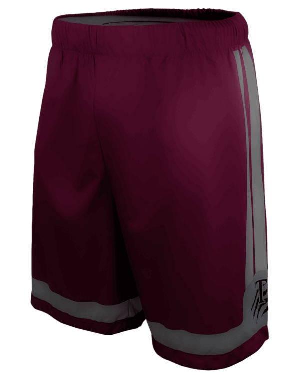 Multi-Sport Training Shorts 2