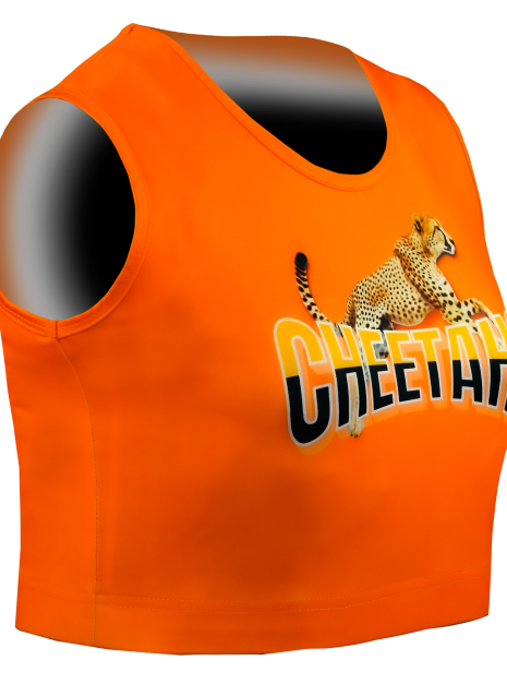 Sleeveless Crop Top Compression 2