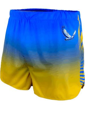 Track Shorts w/ Liner 2