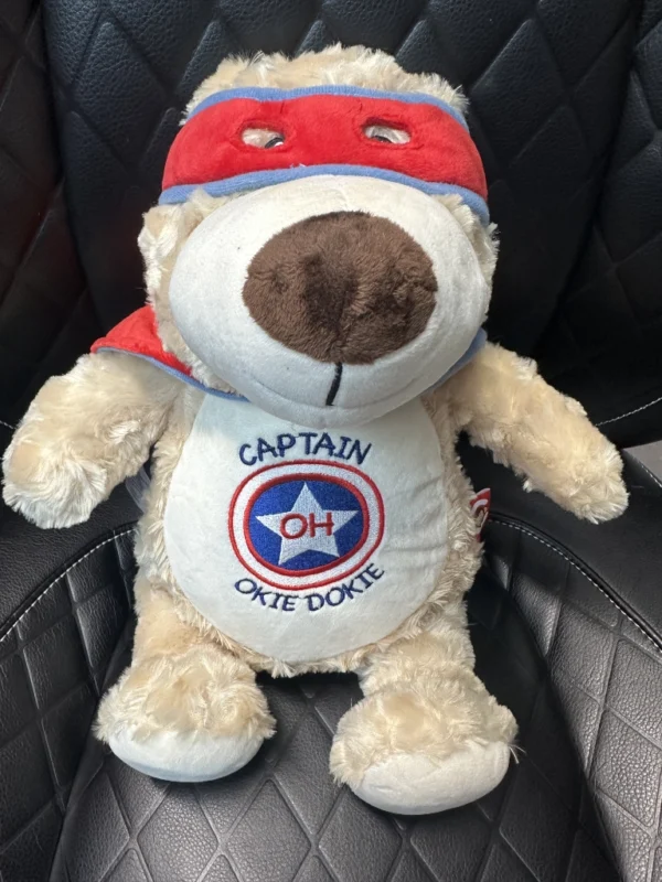 IMG_8781 captain hero bear