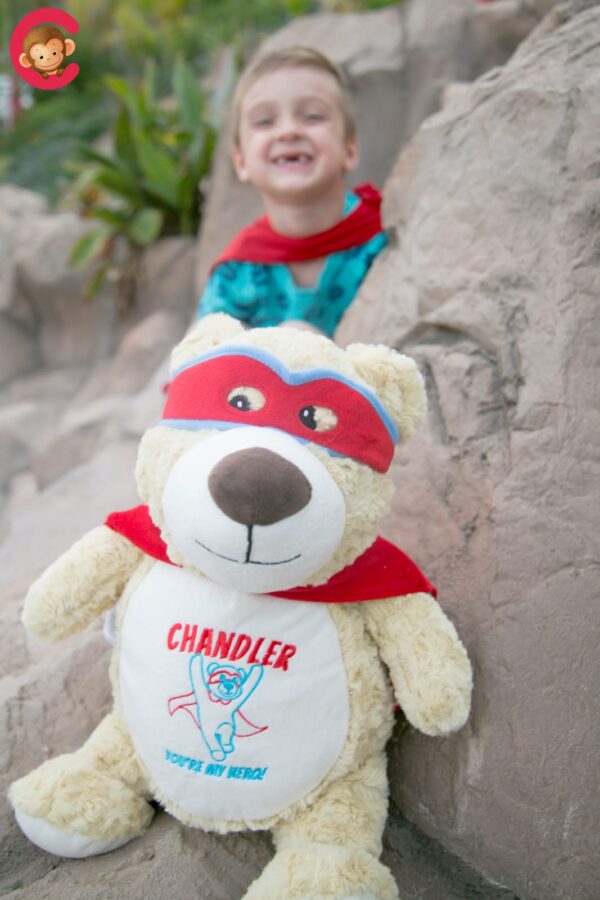 Bear-Hero-10 Bear-Hero-10