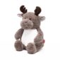 moose video